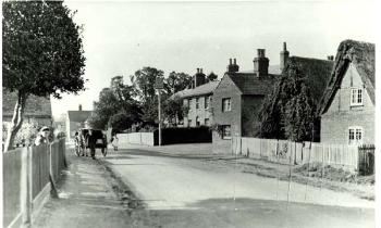Red Lion photo